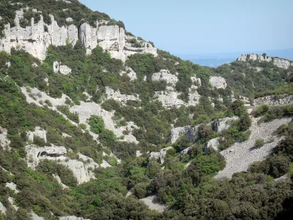 Bergengte van Sainte-Beaume - Vegetatie en rotsachtige wanden van de kloof