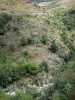 Bergengte van Tapoul - Parc National des Cevennes: rotsachtige helling bezaaid met bomen