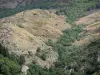 Bergengte van Tapoul - Parc National des Cevennes: Route des Gorges