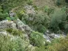 Bergengte van Tapoul - Parc National des Cevennes: uitzicht op de rivier omzoomd met bomen Trépalous