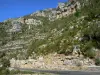 Bergengte van Tarn - Parc National des Cevennes: rotsen en kalkstenen kliffen met uitzicht op de kloof weg