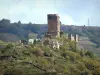 Bergengte van de Truyère - Valon kasteel (in de stad van Lacroix-Barrez) met uitzicht op de Gorges van de Truyère