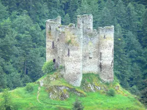 Bergengte van Truyère - Middeleeuws kasteel Alleuze hoog op de rots, in een groene
