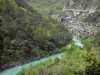 Bergengte van de Verdon - Grand Canyon du Verdon: Verdon rivier omzoomd met bomen in de Verdon Regionaal Natuurpark