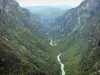 Bergengte van de Verdon - Grand Canyon du Verdon: Verdon rivier omzoomd met bomen en kliffen (rotswanden) in de Verdon Regionaal Natuurpark