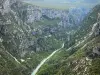 Bergengte van de Verdon - Grand Canyon du Verdon: Verdon rivier omzoomd met kliffen (rotswanden) in de Verdon Regionaal Natuurpark