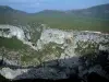 Bergengte van de Verdon - Kalkstenen kliffen (rotsen), bomen en struikgewas (Verdon Regionaal Natuurpark)