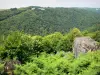 Bergengte van Vézère - Uitzicht op het bos en de groene omgeving van de kloof Vézère