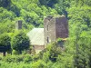 Bergengte van Vézère - Overblijfselen van het kasteel van Comborn in het groen; in de stad van Orgnac-sur-Vézère