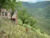 Bergfauna - Wilde bloemen, koeien, kleine roze huis, bomen en bergen