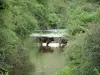 Bergfauna - Rivier, omzoomd door struiken, met koeien