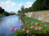 Bergues - Remparts (fortifications, enceinte) de la ville fortifiée, canal et géraniums (fleurs) en premier plan