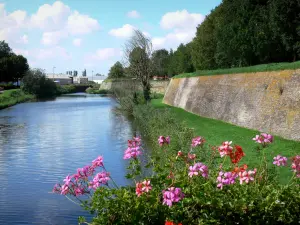 Bergues - Wallen (versterkte muren) van de ommuurde stad, kanaal en geraniums (bloemen) op de voorgrond