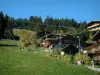 Le Bettex - Alpages, arbres, chalets et remontées mécaniques du village (station de ski)