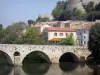 Béziers - Casas de la ciudad, Puente Viejo que atraviesa el río Orb, los árboles en la orilla del agua