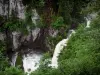 Billaude waterfall - Waterfall, rock faces, shrubs and trees