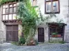 Billom - Cité médiévale (quartier médiéval) : plantes grimpantes ornant une façade de maison