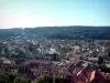 Bitche - From the citadel, view of the houses of the city, trees and the forest (Northern Vosges Regional Nature Park)