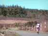 Black mountain - Cyclist climbing the Nore peak road