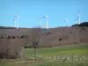 Black mountain - Wind turbine dominating the forest and a small road lined with meadows