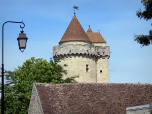 Blandy - Middeleeuws kasteel kerker, vloer en dak van een huis