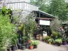 Bloemenmarkt op île de la Cité - Planten en struiken bloem markt van Queen Elizabeth II