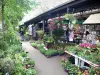 Bloemenmarkt op île de la Cité - Kraampjes met planten, bloemen en struiken