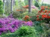 Bloemenpark van Parijs - Rododendrons in bloei