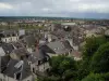 Blois - Vue sur les toits des maisons de la ville, le pont et le fleuve (la Loire)