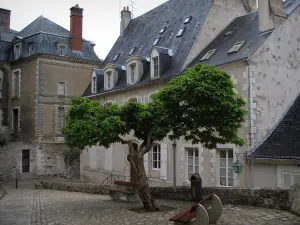 Blois - Houses of the old town and small square decorated with a tree and with benches