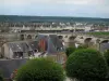 Blois - Arbres, maisons de la ville et pont enjambant le fleuve (la Loire)