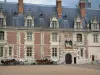 Blois - Façade du château et calèches attelées à des chevaux blancs