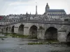 Blois - Pont enjambant le fleuve (la Loire), cathédrale Saint-Louis et maisons de la vieille ville