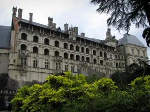 Blois - Château (Loges facade), shrubs and trees