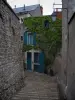 Blois - Ruelle en escalier et maisons de la vieille ville