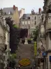 Blois - Escalier agrémenté de fleurs, lampadaires et bâtiments de la ville