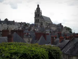 Blois - Saint-Louis cathedral, houses of the old town, and trees