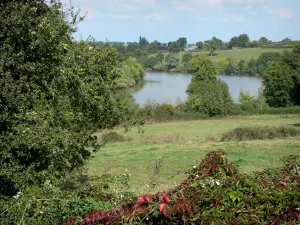 Bocage bourbonnais - Prairies, plan d'eau et arbres