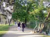 Bois de Boulogne - Passeggiata passeggiata lungo il Untersee alberato