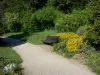 Bois de Boulogne - Massif fleuri, banc et allée du parc de Bagatelle