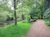 Bois de Vincennes - Caminhe ao longo de um riacho ladeado de árvores