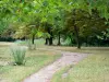 Bois de Vincennes - Caminho em ambiente arborizado