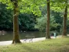 Bois de Vincennes - Árvores e banco à beira da água