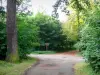 Bois de Vincennes - Pequena estrada florestal