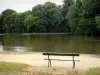 Bois de Vincennes - Banco por um lago cercado por vegetação