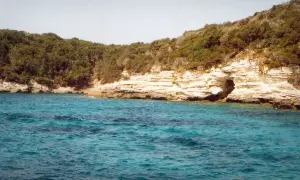 Bonifacio - Mar Mediterráneo y los acantilados blancos de piedra caliza cubierta de vegetación