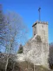 Bonnefoy的淡黄绿 - 老卡尔特会修道院的方形的塔
