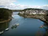 Le Bono - Rivière du Bono avec port, bateaux, forêt et village