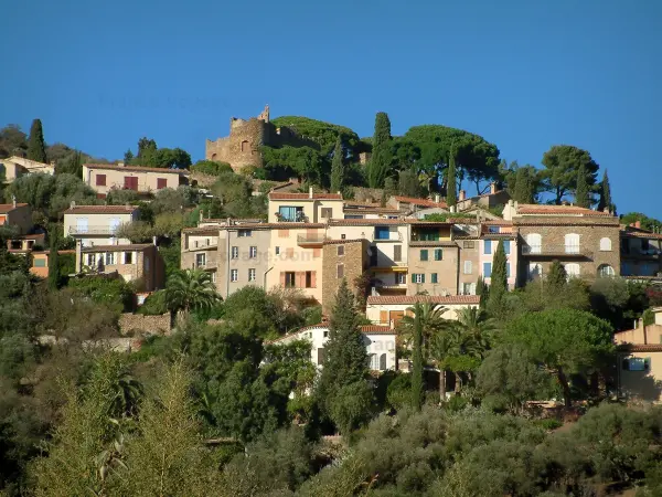 Bormes-les-Mimosas - Château dominant les maisons du village perché, pins, palmiers et cyprès (arbres)