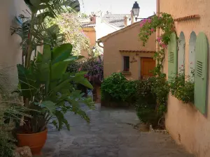 Bormes-les-Mimosas - Maisons du village avec des arbustes, des fleurs et des bougainvillées (bougainvilliers)